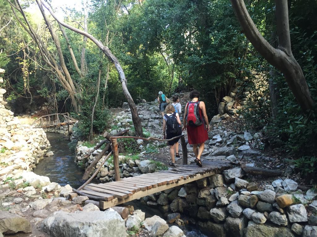 فندق Olympos Mitos المظهر الخارجي الصورة