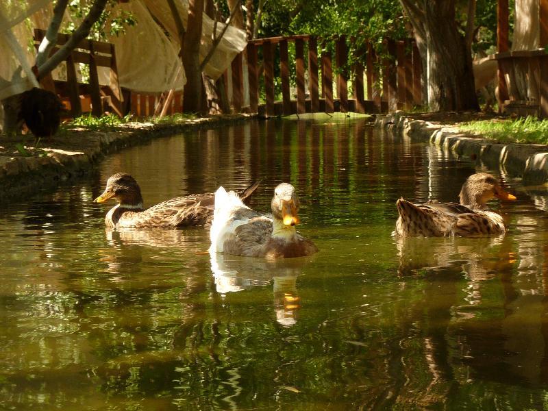 فندق Olympos Mitos المظهر الخارجي الصورة